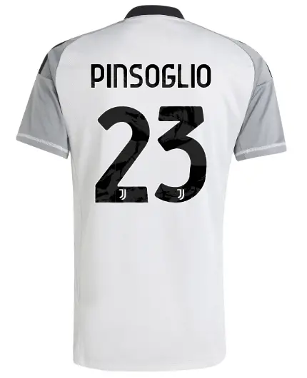juventus third goalkeeper jersey 202425 – 23 – pinsoglio | Juventus FC Shop Collection